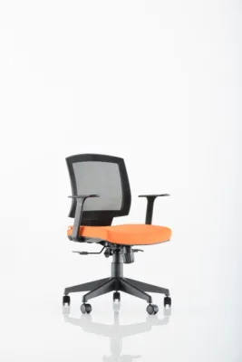 Çalışma - Toplantı Koltukları