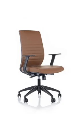 Çalışma - Toplantı Koltukları