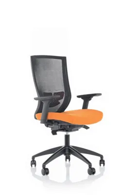 Çalışma - Toplantı Koltukları