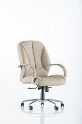 Çalışma - Toplantı Koltukları