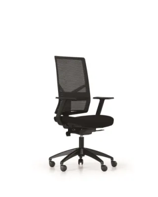 Çalışma - Toplantı Koltukları