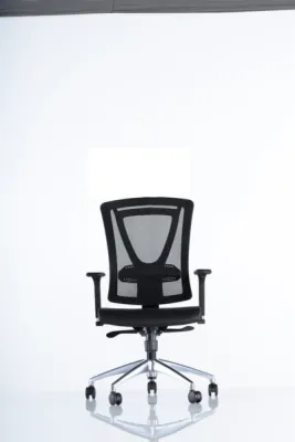 Çalışma - Toplantı Koltukları