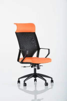 Yönetici - Makam Koltukları