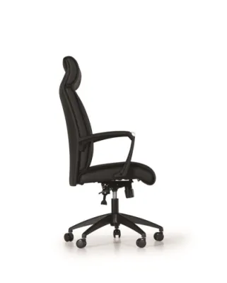 Yönetici - Makam Koltukları