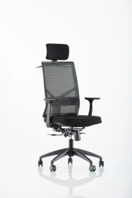 Yönetici - Makam Koltukları