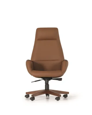 Yönetici - Makam Koltukları