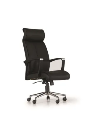 Yönetici - Makam Koltukları