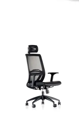 Yönetici - Makam Koltukları