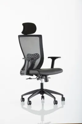 Yönetici - Makam Koltukları