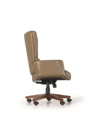 Yönetici - Makam Koltukları