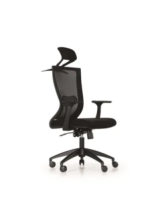 Yönetici - Makam Koltukları