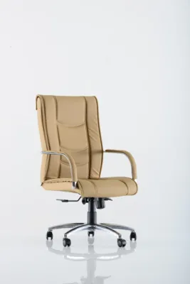 Yönetici - Makam Koltukları