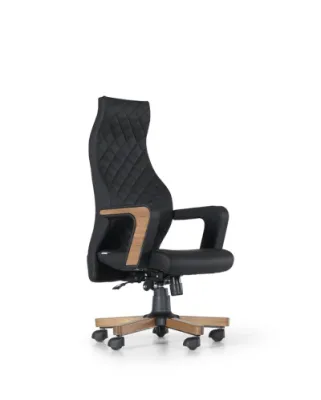 Yönetici - Makam Koltukları