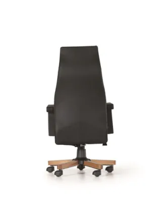 Yönetici - Makam Koltukları