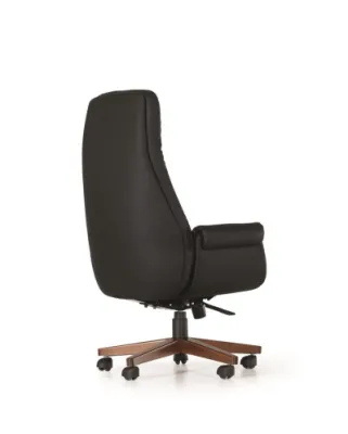 Yönetici - Makam Koltukları