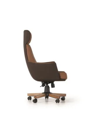 Yönetici - Makam Koltukları