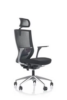 Yönetici - Makam Koltukları