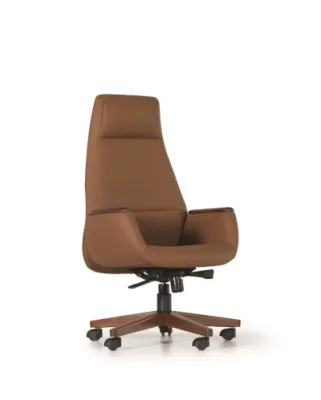 Yönetici - Makam Koltukları