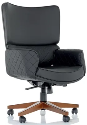 Yönetici - Makam Koltukları