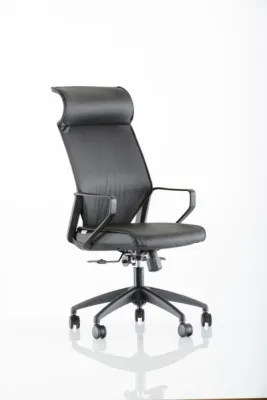 Yönetici - Makam Koltukları