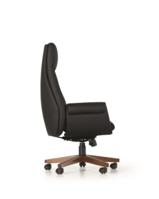 Yönetici - Makam Koltukları