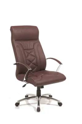 Yönetici - Makam Koltukları