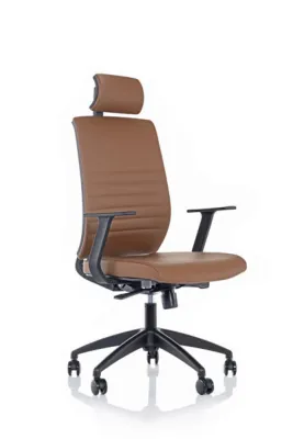 Yönetici - Makam Koltukları