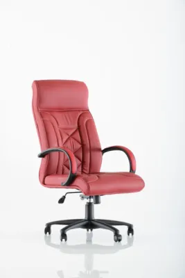 Yönetici - Makam Koltukları