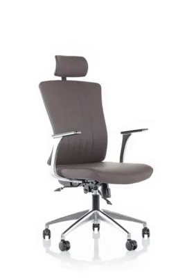 Yönetici - Makam Koltukları