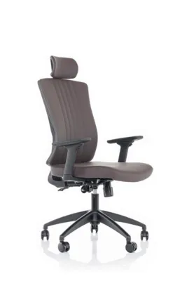 Yönetici - Makam Koltukları