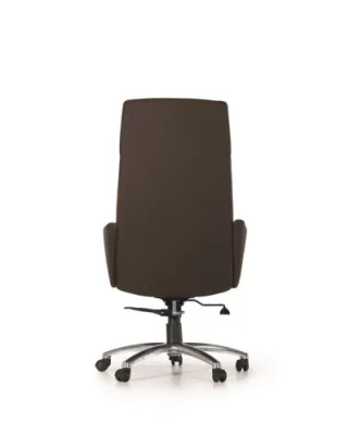 Yönetici - Makam Koltukları