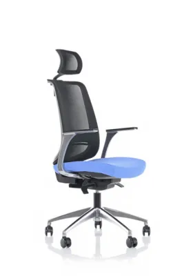 Yönetici - Makam Koltukları