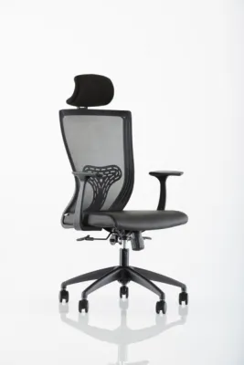 Yönetici - Makam Koltukları