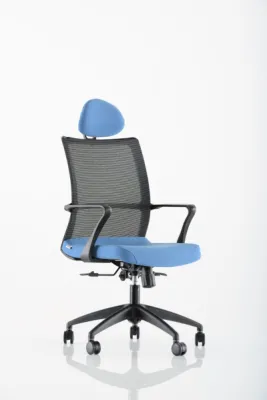 Yönetici - Makam Koltukları