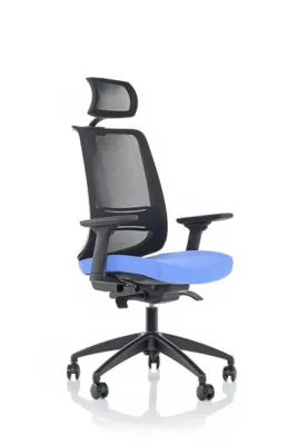 Yönetici - Makam Koltukları