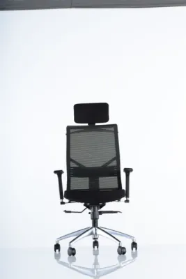 Yönetici - Makam Koltukları