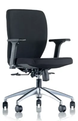 Yönetici - Makam Koltukları