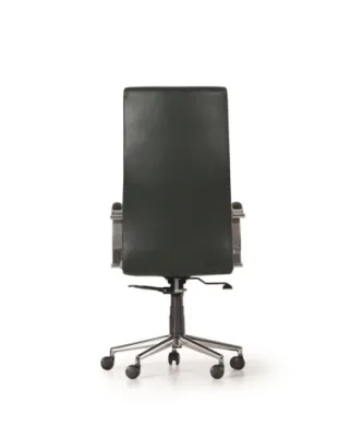 Yönetici - Makam Koltukları