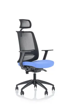 Yönetici - Makam Koltukları