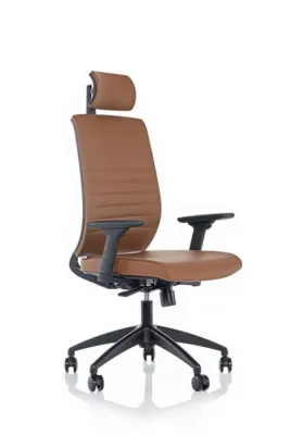 Yönetici - Makam Koltukları