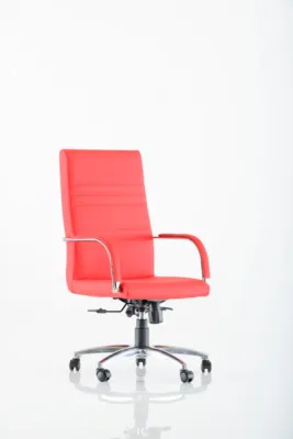 Yönetici - Makam Koltukları