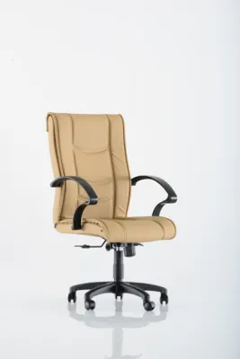 Yönetici - Makam Koltukları