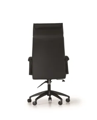 Yönetici - Makam Koltukları