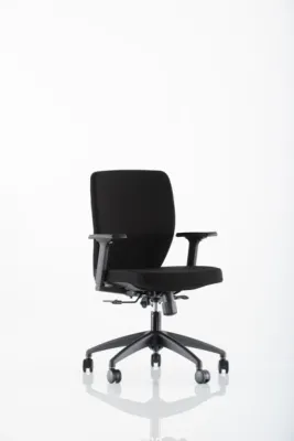 Yönetici - Makam Koltukları