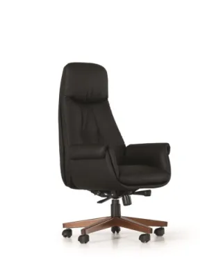 Yönetici - Makam Koltukları