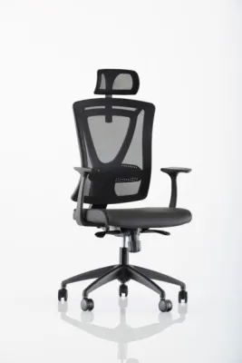 Yönetici - Makam Koltukları