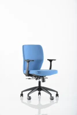 Yönetici - Makam Koltukları