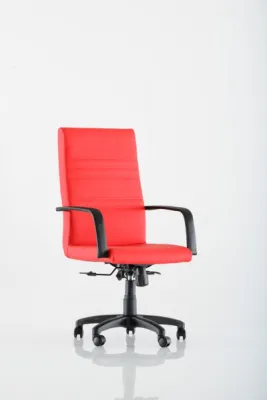 Yönetici - Makam Koltukları