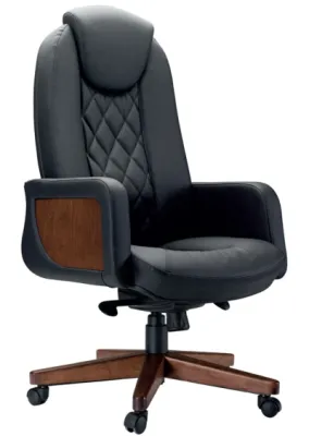 Yönetici - Makam Koltukları