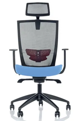 Yönetici - Makam Koltukları